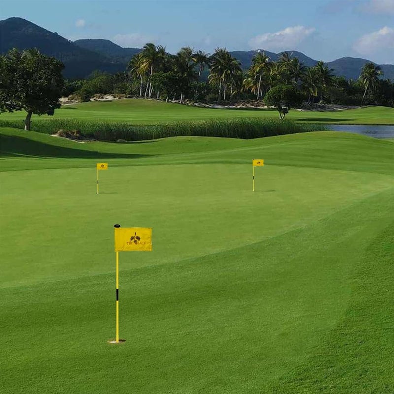 2BUT Standard Bluejack National Golf Club Texas Golf Pin Flag Practic Putting Green Golf Flag For Backyard Garden Double-Sewn 600D Nylon Miniature Pin Flag Regulation Tube Flag(BJK 8"X6") - Image 5